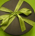 Lime green printed ribbon Sleeping Beauty Salon gift wrapping (click to enlarge)