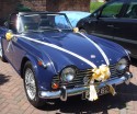 Personalised printed wedding car ribbon and hand made bows from Printed Ribbon UK (click to enlarge)